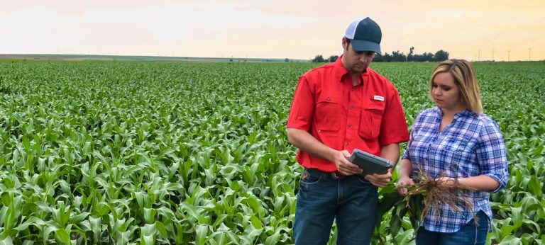 Digital Farm Consulting Remote Farm Advisor Services Crop Quest