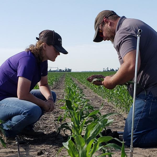 Farm Record Keeping Crop Quest