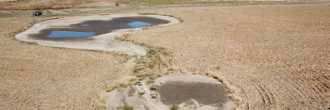 Photo of field prior to using precision mapping technology, The field has major drainage issues.