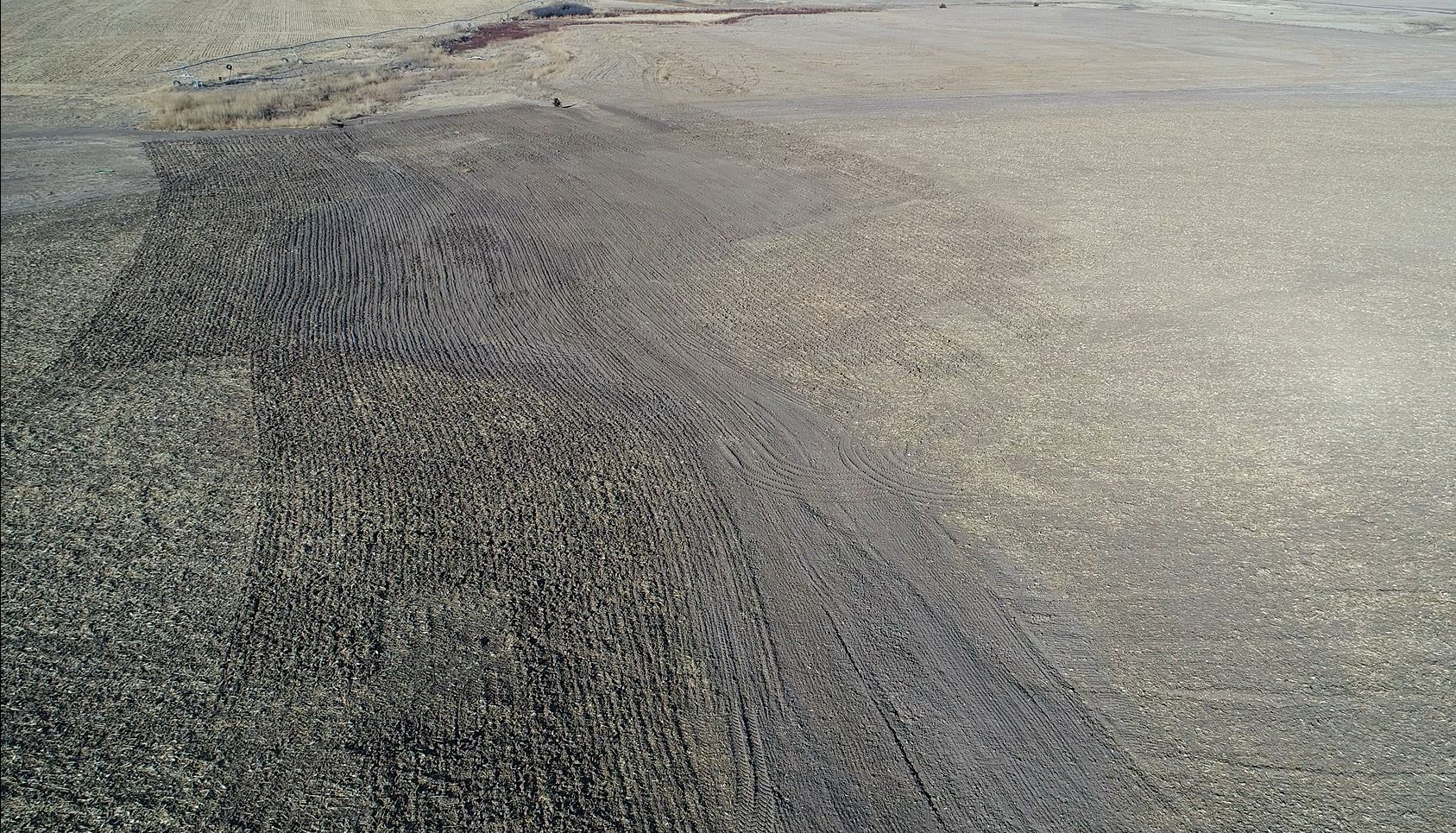 Photo of a field after precision mapping technology was used to solve the drainage issues. This has improved crop production and reduced erosion. 